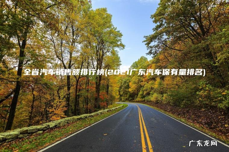 全省汽车销售额排行榜(2021广东汽车保有量排名)
