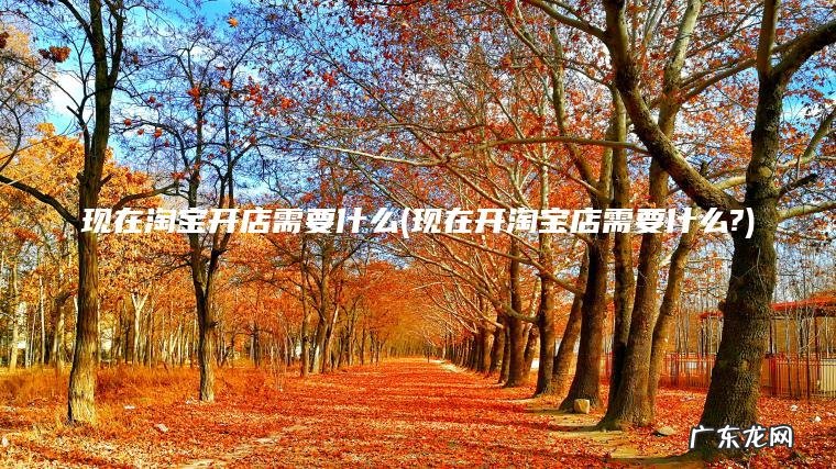 现在淘宝开店需要什么(现在开淘宝店需要什么?)