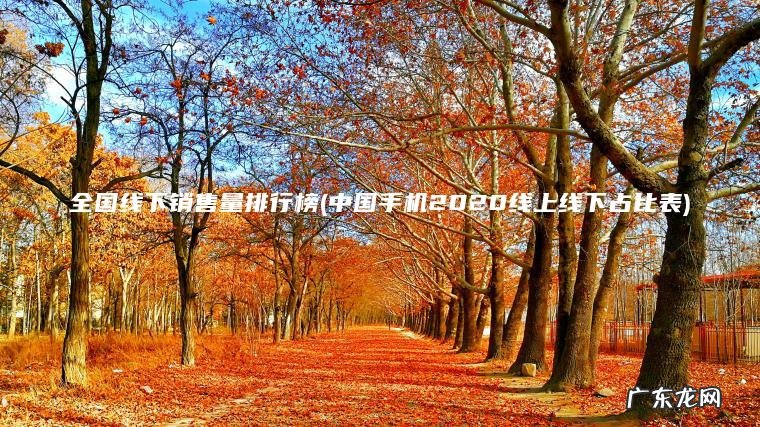 全国线下销售量排行榜(中国手机2020线上线下占比表)
