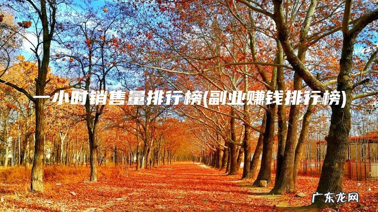 副业赚钱排行榜 一小时销售量排行榜