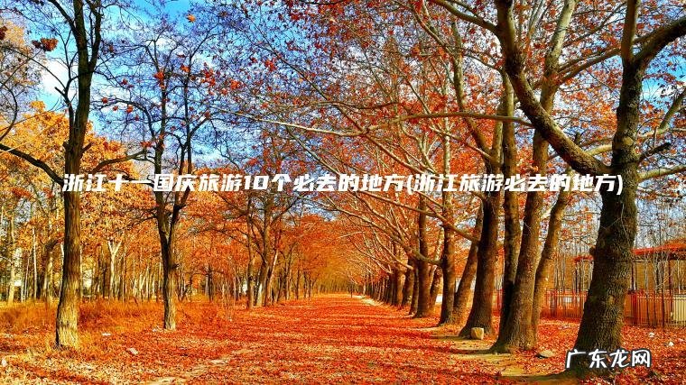浙江十一国庆旅游10个必去的地方(浙江旅游必去的地方)