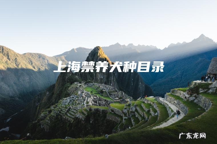 上海禁养犬种目录