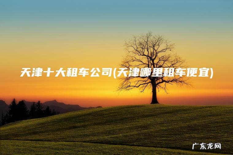 天津十大租车公司(天津哪里租车便宜)