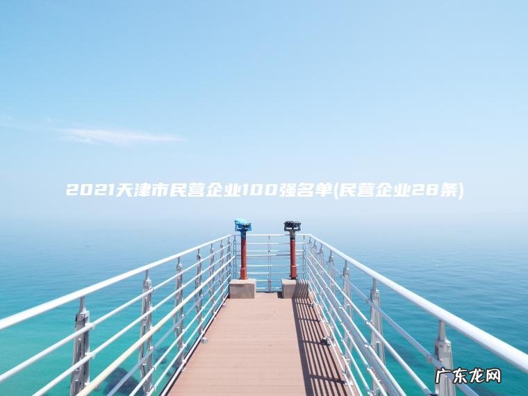 2021天津市民营企业100强名单(民营企业28条)