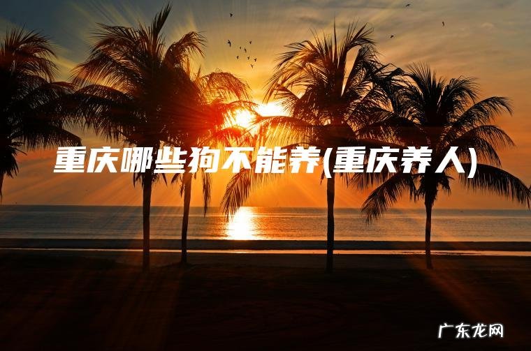 重庆哪些狗不能养(重庆养人)