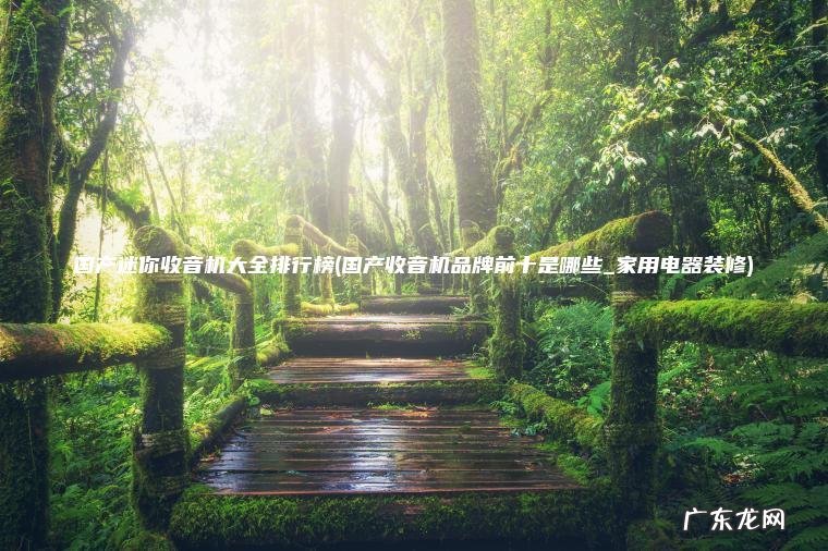 国产迷你收音机大全排行榜(国产收音机品牌前十是哪些_家用电器装修)