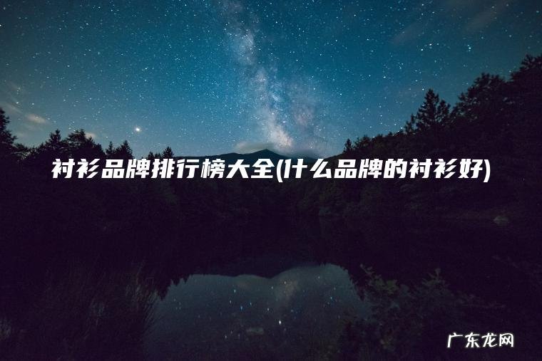 衬衫品牌排行榜大全(什么品牌的衬衫好)