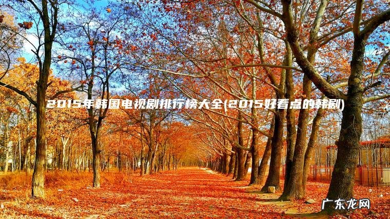 2015年韩国电视剧排行榜大全(2015好看点的韩剧)