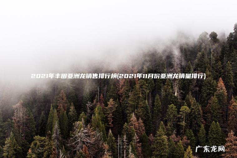 2021年丰田亚洲龙销售排行榜(2021年11月份亚洲龙销量排行)