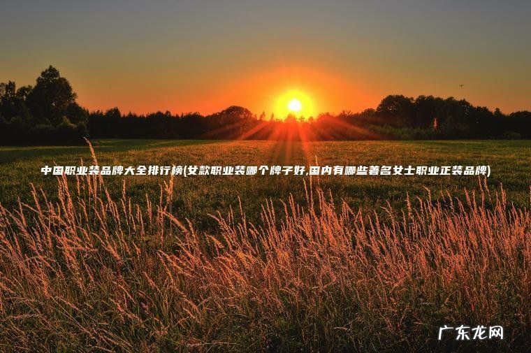 中国职业装品牌大全排行榜(女款职业装哪个牌子好,国内有哪些著名女士职业正装品牌)