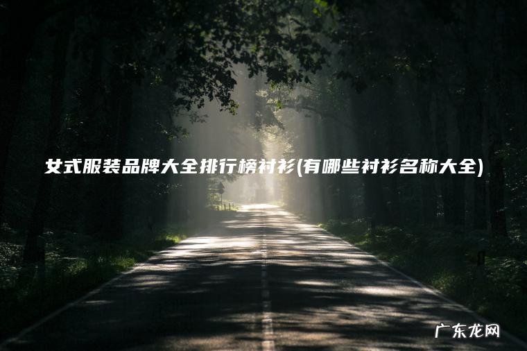 女式服装品牌大全排行榜衬衫(有哪些衬衫名称大全)