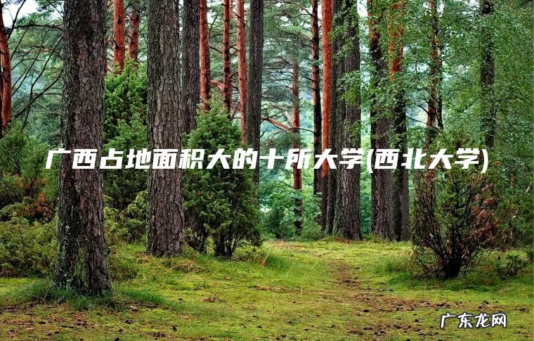 广西占地面积大的十所大学(西北大学)
