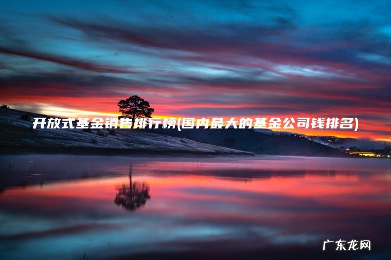 开放式基金销售排行榜(国内最大的基金公司钱排名)