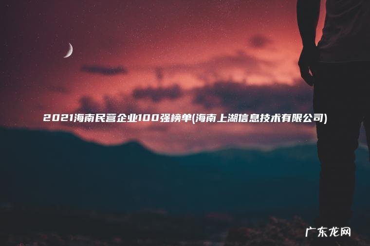 2021海南民营企业100强榜单(海南上湖信息技术有限公司)