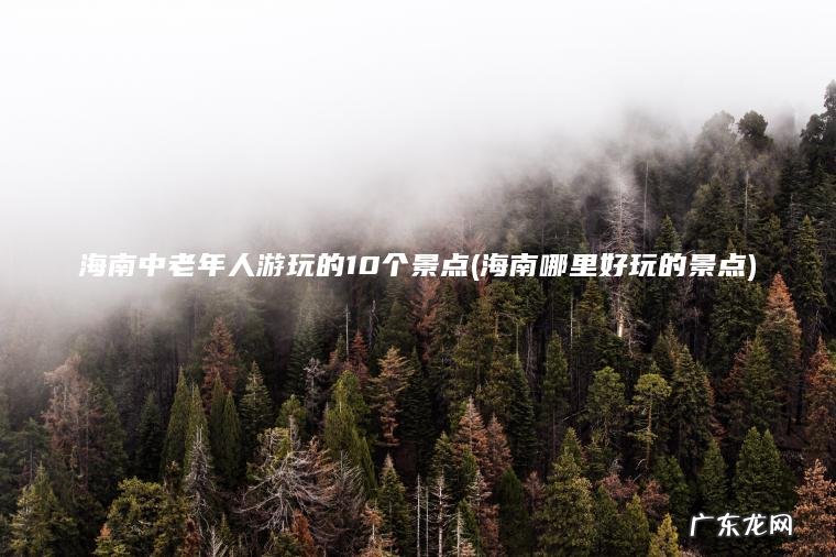 海南中老年人游玩的10个景点(海南哪里好玩的景点)