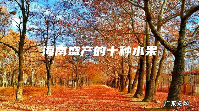 海南盛产的十种水果