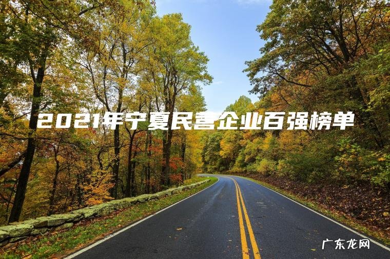 2021年宁夏民营企业百强榜单