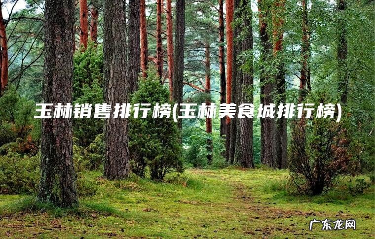 玉林销售排行榜(玉林美食城排行榜)