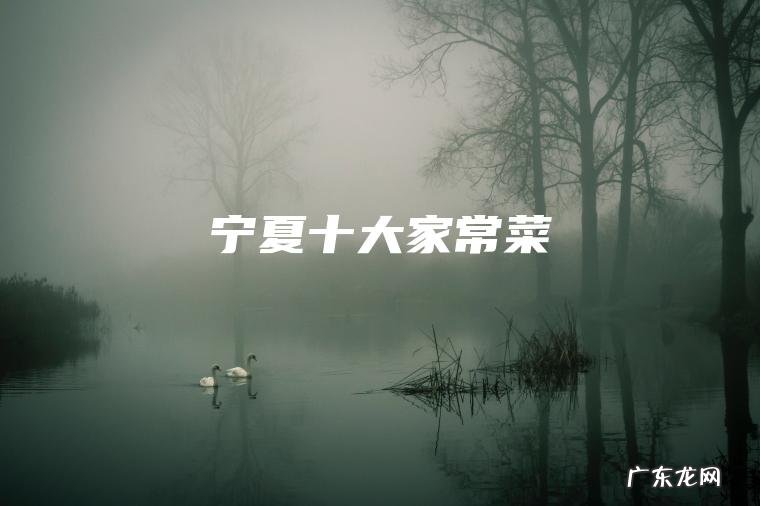 宁夏十大家常菜