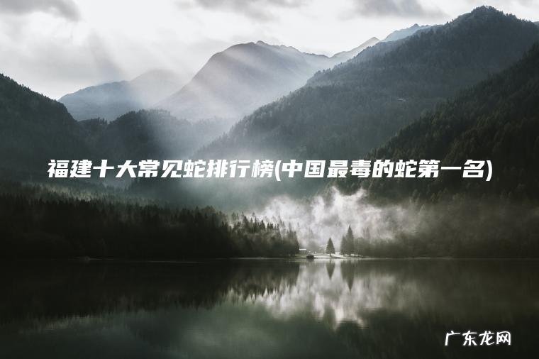 中国最毒的蛇第一名 福建十大常见蛇排行榜