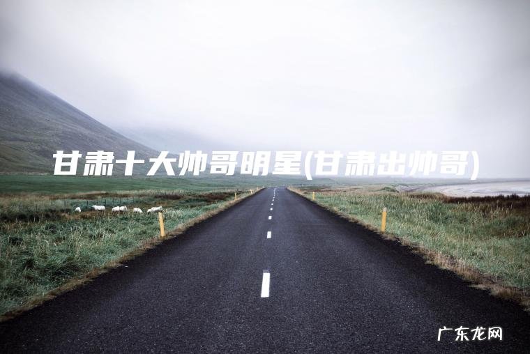 甘肃十大帅哥明星(甘肃出帅哥)