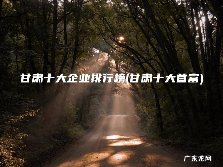 甘肃十大企业排行榜(甘肃十大首富)