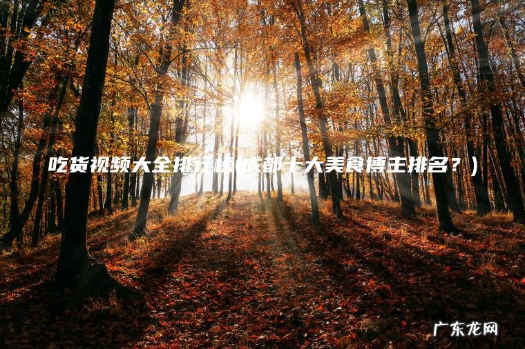 吃货视频大全排行榜(成都十大美食博主排名？)