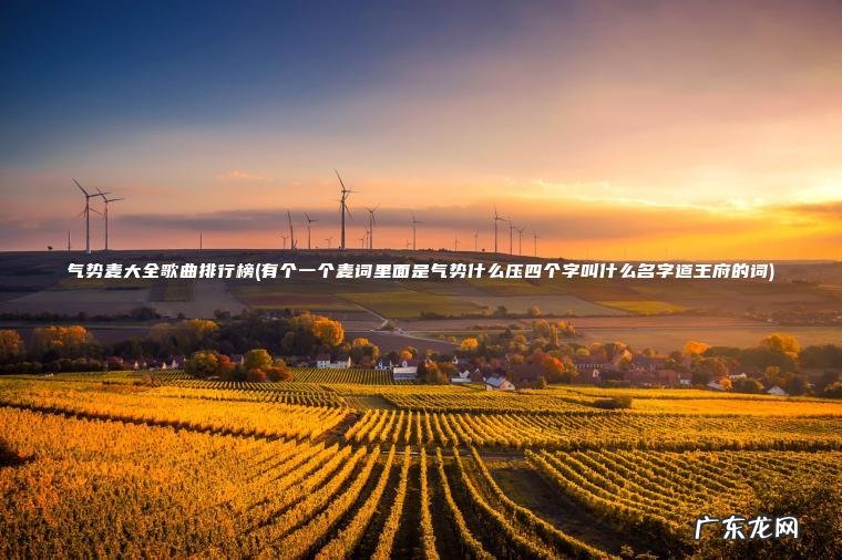 气势麦大全歌曲排行榜(有个一个麦词里面是气势什么压四个字叫什么名字道王府的词)