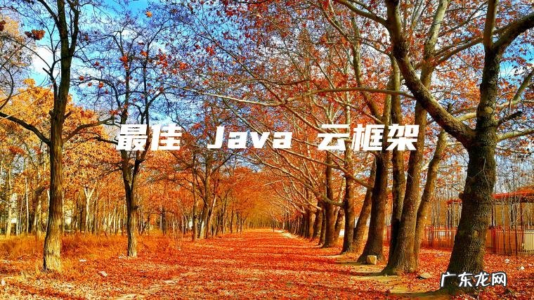 最佳 Java 云框架