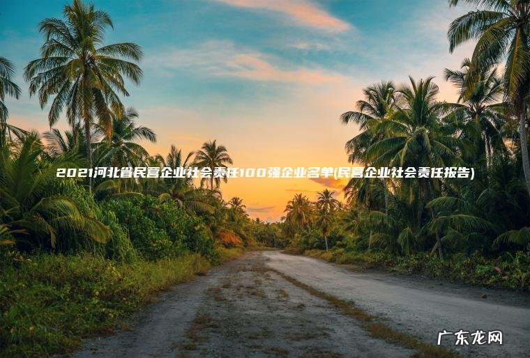 2021河北省民营企业社会责任100强企业名单(民营企业社会责任报告)