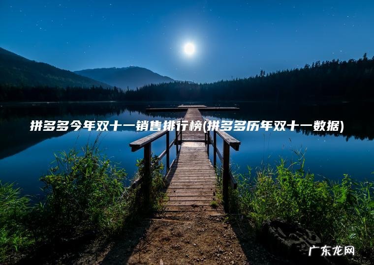 拼多多历年双十一数据 拼多多今年双十一销售排行榜