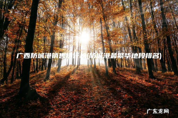 广西防城港销售排行榜(防城港最繁华地段排名)