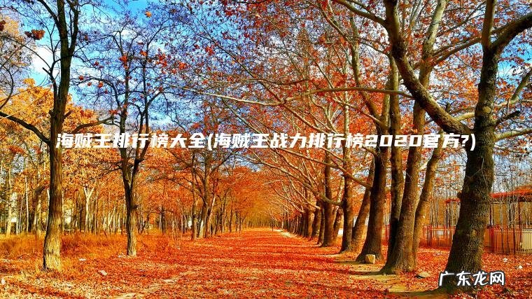 海贼王排行榜大全(海贼王战力排行榜2020官方?)