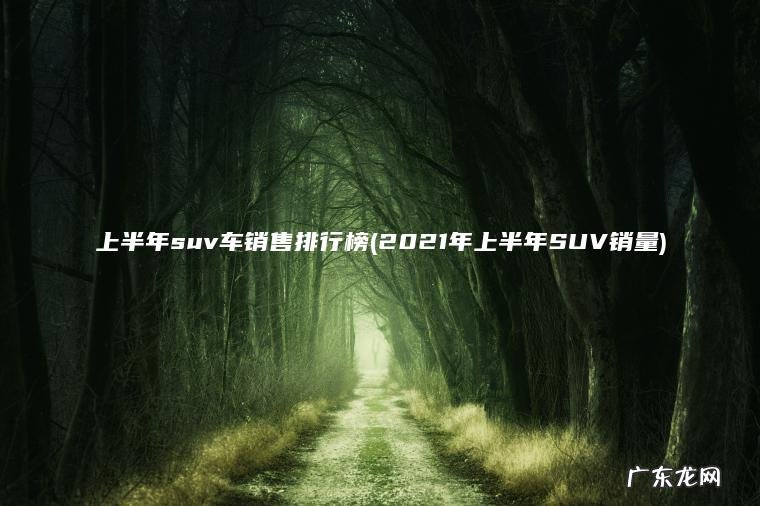 上半年suv车销售排行榜(2021年上半年SUV销量)