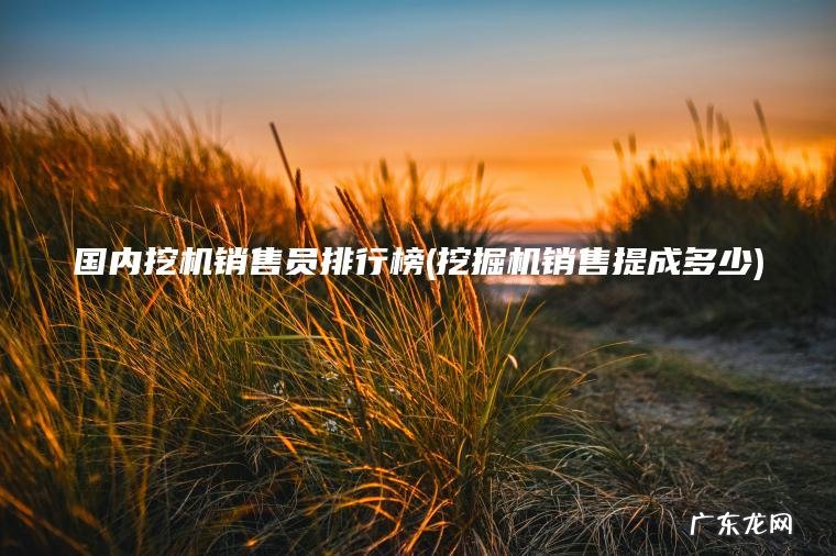 国内挖机销售员排行榜(挖掘机销售提成多少)