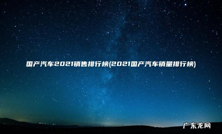 国产汽车2021销售排行榜(2021国产汽车销量排行榜)