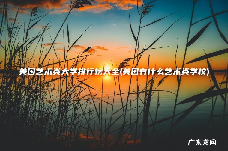 美国艺术类大学排行榜大全(美国有什么艺术类学校)