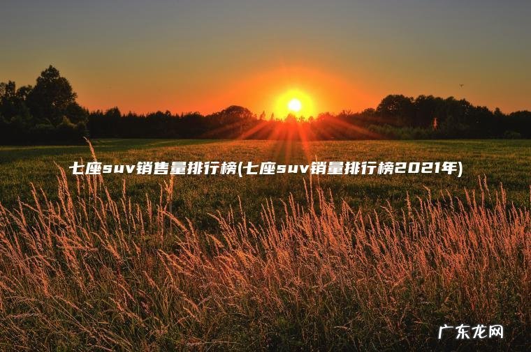 七座suv销量排行榜2021年 七座suv销售量排行榜