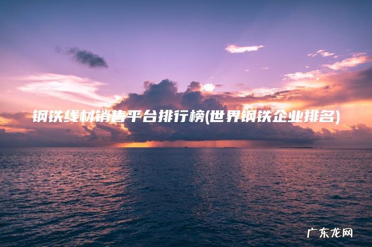 钢铁线材销售平台排行榜(世界钢铁企业排名)