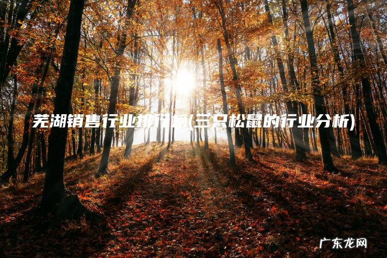 芜湖销售行业排行榜(三只松鼠的行业分析)