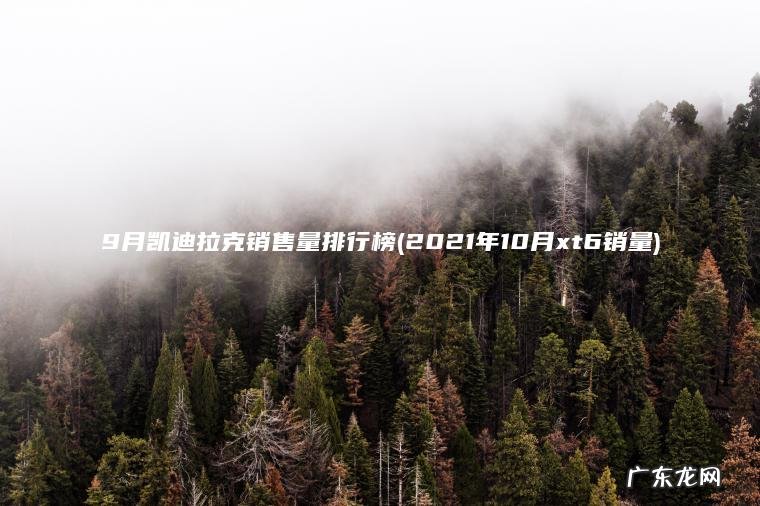 9月凯迪拉克销售量排行榜(2021年10月xt6销量)
