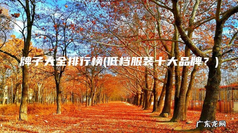 牌子大全排行榜(低档服装十大品牌？)