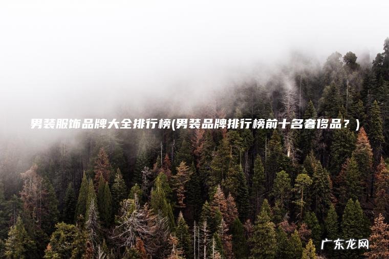 男装服饰品牌大全排行榜(男装品牌排行榜前十名奢侈品？)