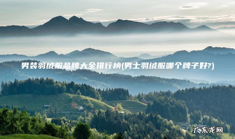 男装羽绒服品牌大全排行榜(男士羽绒服哪个牌子好?)