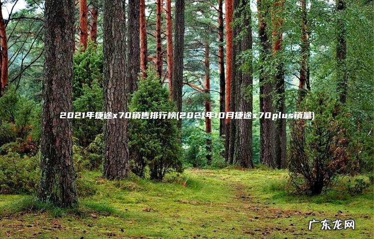 2021年捷途x70销售排行榜(2021年10月捷途x70plus销量)