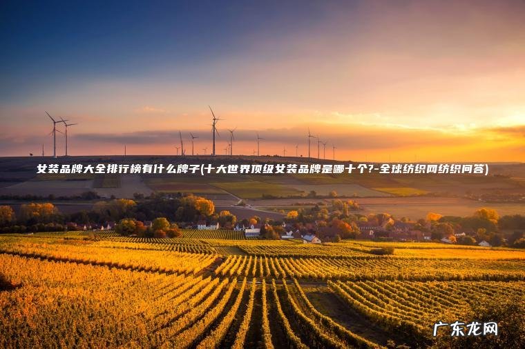 女装品牌大全排行榜有什么牌子(十大世界顶级女装品牌是哪十个?-全球纺织网纺织问答)