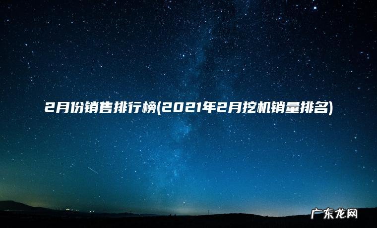2月份销售排行榜(2021年2月挖机销量排名)