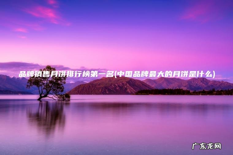 品牌销售月饼排行榜第一名(中国品牌最大的月饼是什么)