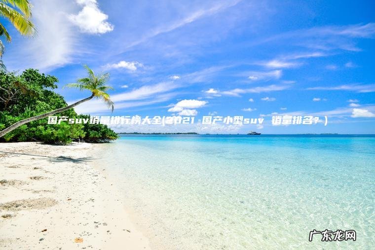 2021 国产小型suv 销量排名？ 国产suv销量排行榜大全