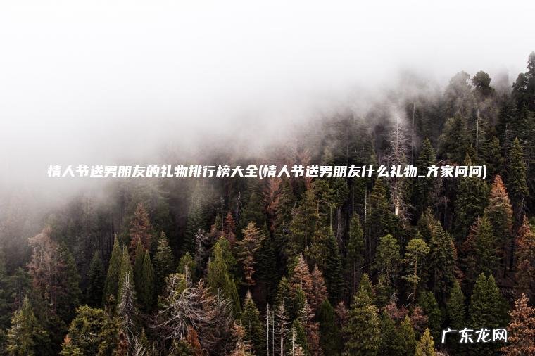 情人节送男朋友的礼物排行榜大全(情人节送男朋友什么礼物_齐家问问)